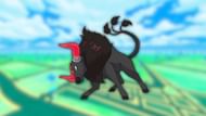 Blaze Breed Paldean Tauros in Pokemon GO (Image via The Pokemon Company)
